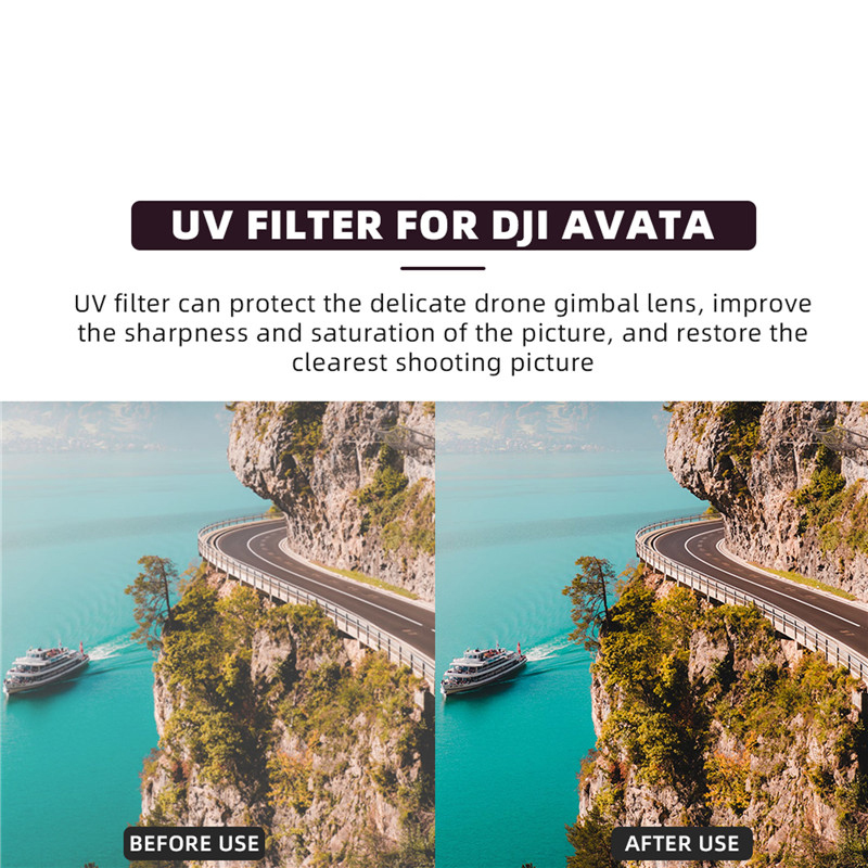 Adatto per filtro FPV DJI Avat - Drone Ndvi recensione e prezzo